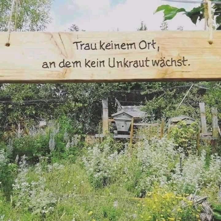 Pension Katharina Fruehstueck Ab 5 Uhr Frueh Seeboden Esterno foto